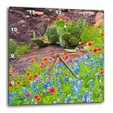 3dRose Blanket Flowers and Bluebonnets. Texas Hill Country. - Wall Clocks (DPP_332253_3)