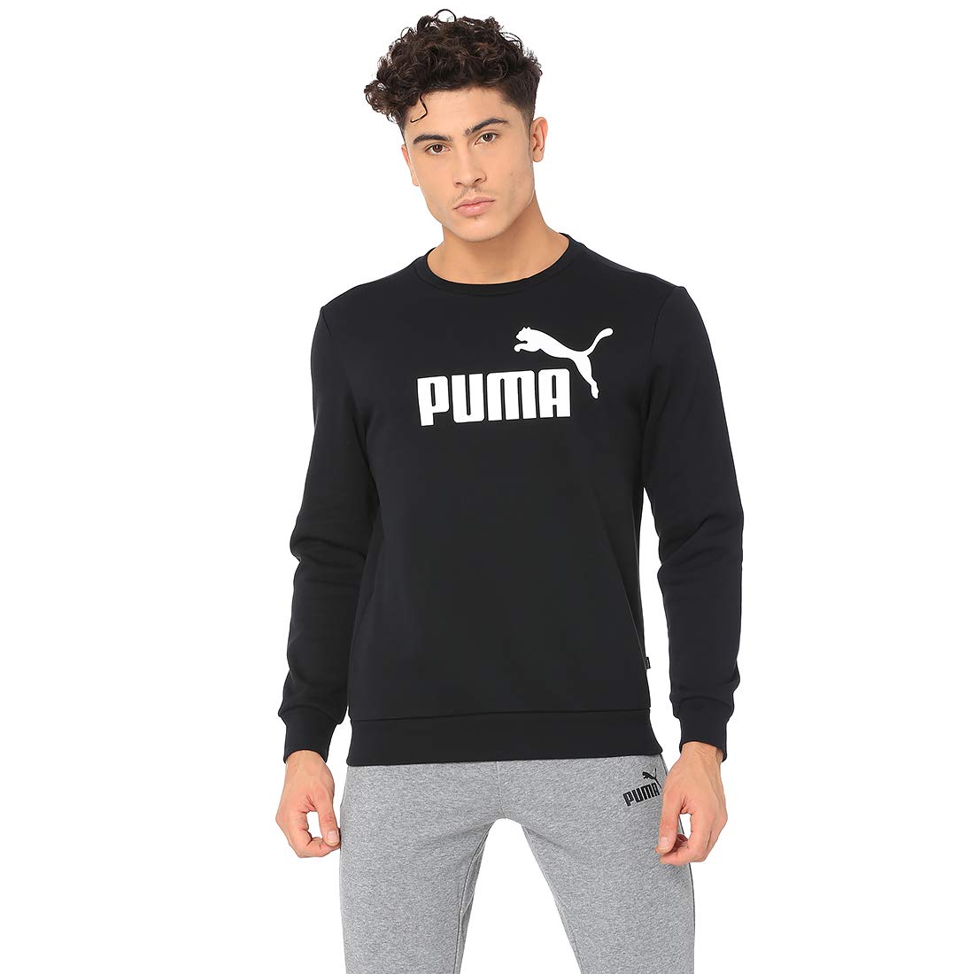 Puma ESS Logo Crew Sweat FL Big Logo, Sweatshirt Homme