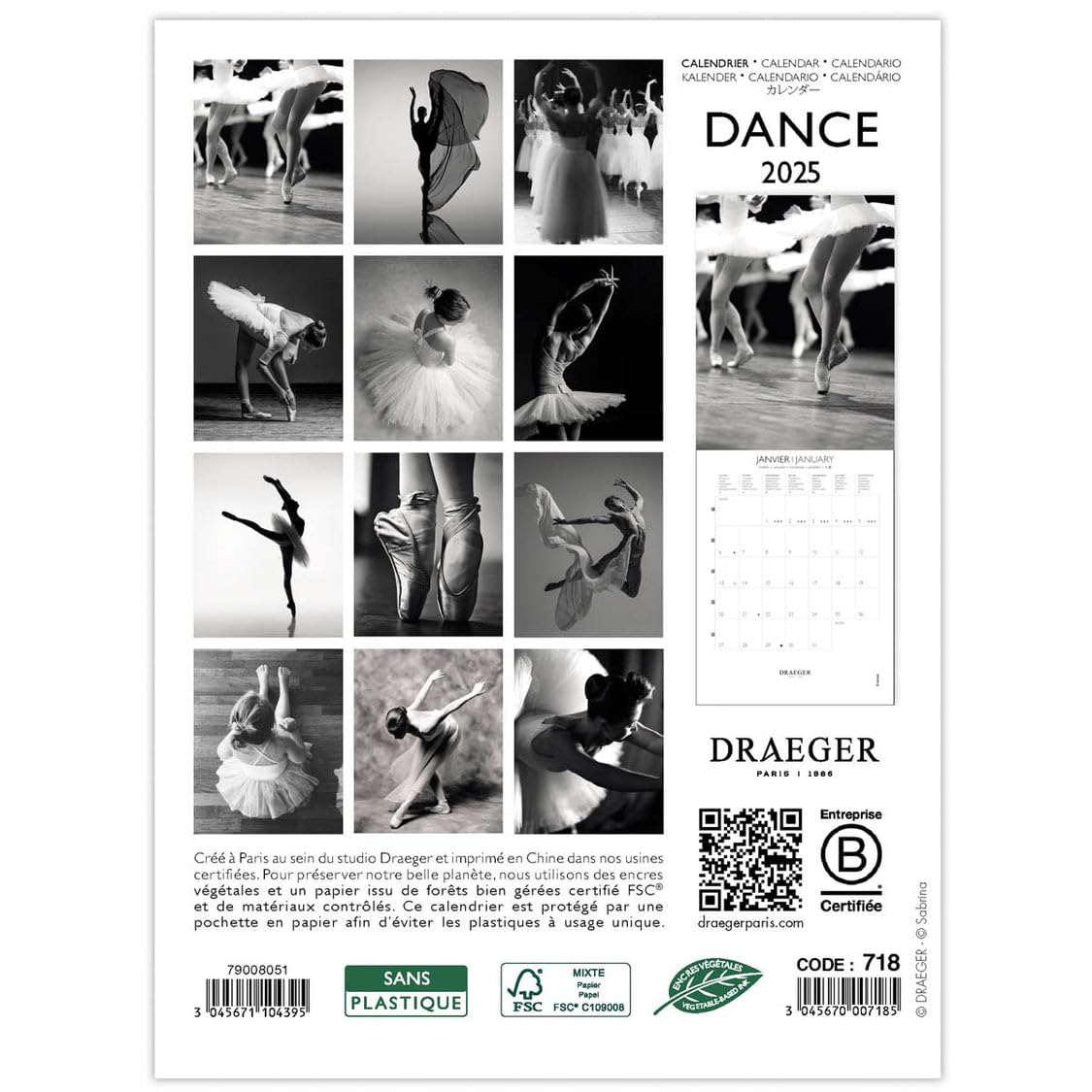 DRAEGER PARIS 1886, Small Wall Calendar 2025 14x18 cm, Sept 2024-Dec 2025-12 Themed Photos, Stylish Multi-Language Design - Image 3