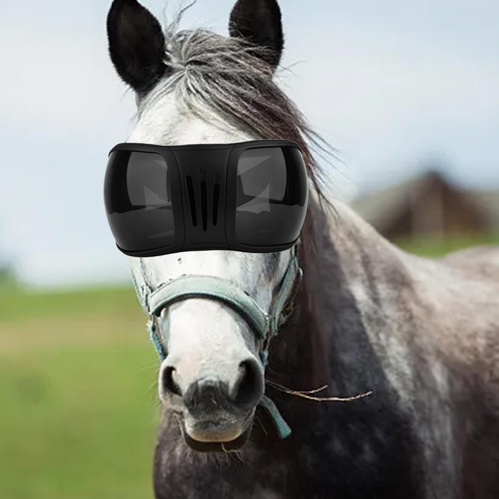 Milageto Gafas de equitación para protección Ocular de Caballos, Gafas ecuestres Multiusos a Prueba de Viento, Gafas Protectoras para Caballos para Exteriores