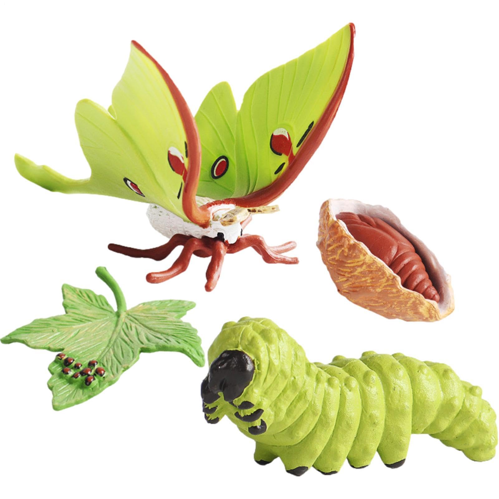 Quzente Animal Life Cycle Toys, Clear Life Cycle Figurines Kit, Early Educational Animals Toys - Creative And Fun, Improving Children's Cognitive Ability, Growth Cycle Models For Kids 3+ (moth)