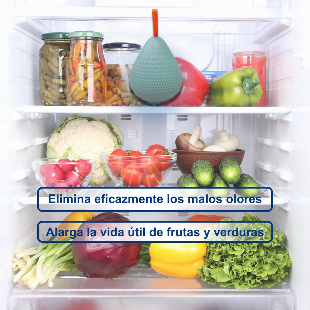 Ozonizador de Nevera con USB - Elimina Malos Olores en Armarios y Zapateros - Generador de Ozono Portátil - Ozono Hogar
