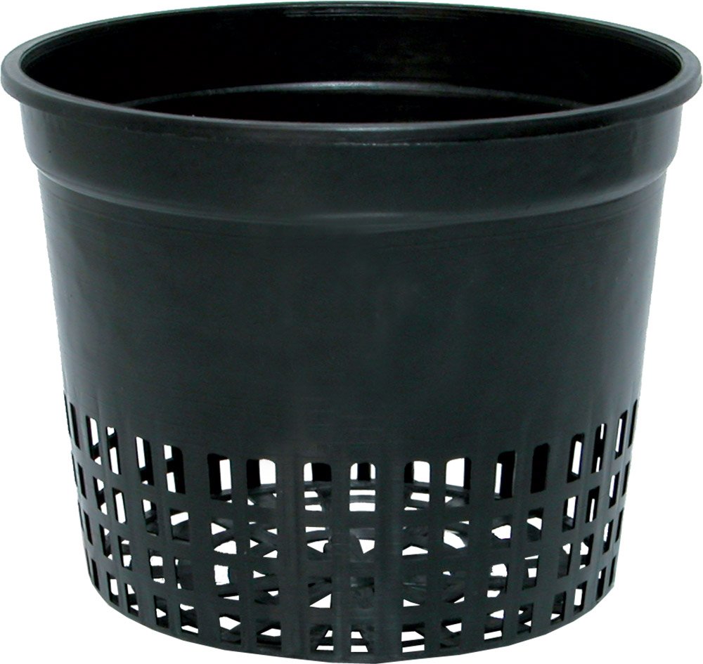 Hydrofarm Net Tasse de 12,7 cm pour cultiver vos herbes aromatiques à la maison