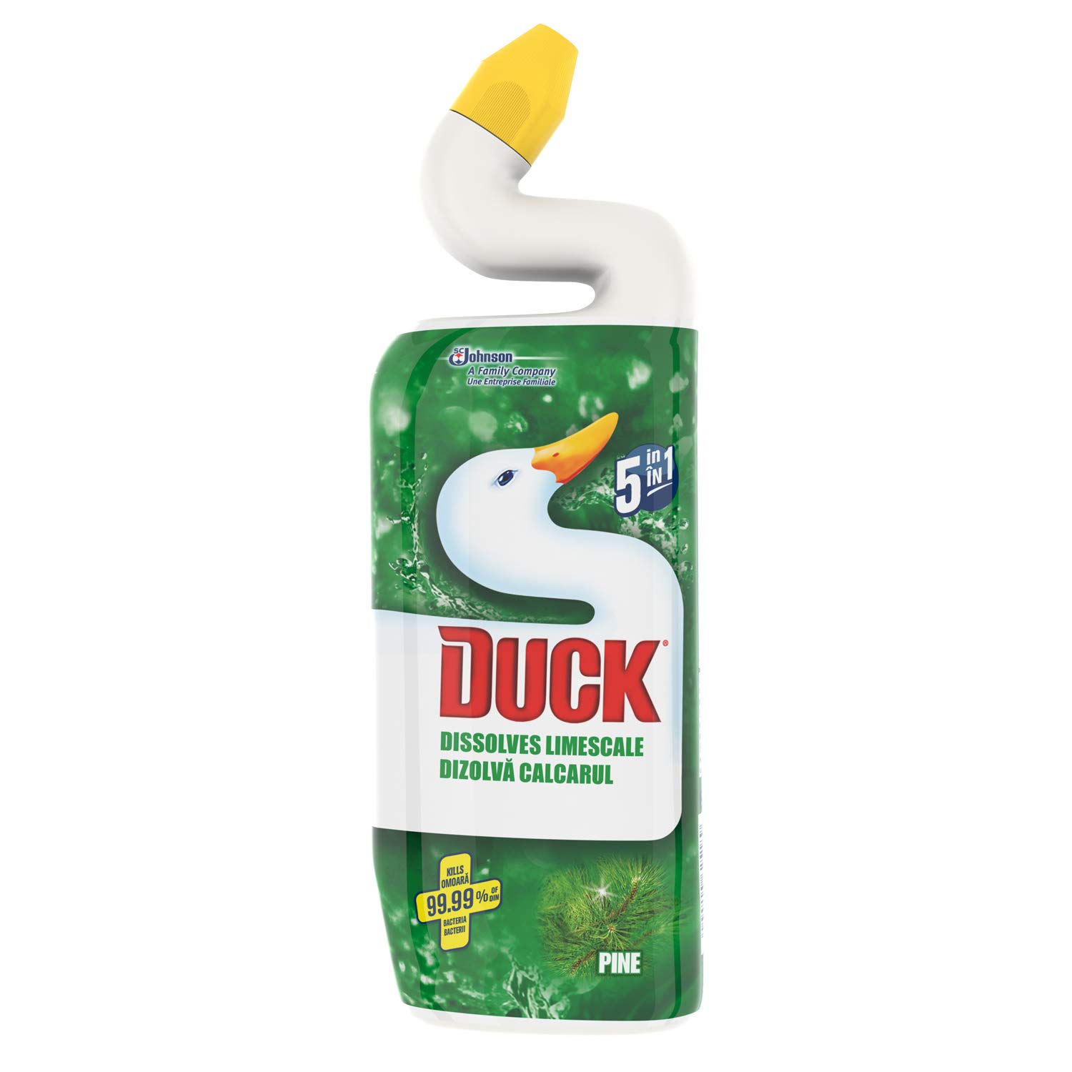 Buy Duck Toilet Bowl Cleaner & Descaler, Pine, 750ml Online at