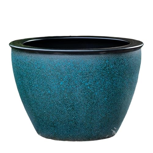 90cm 水槽 金魚」の人気商品一覧 | 安い商品を通販サイトから
