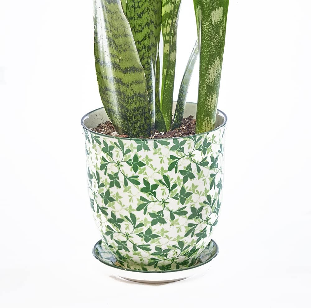 CHIVE 'Liberte' Ceramic Succulent Planters — Cute 4.25 Inch Vintage Style Pots for Indoor Plants — Beautiful Home and Kitchen Décor — Monstera