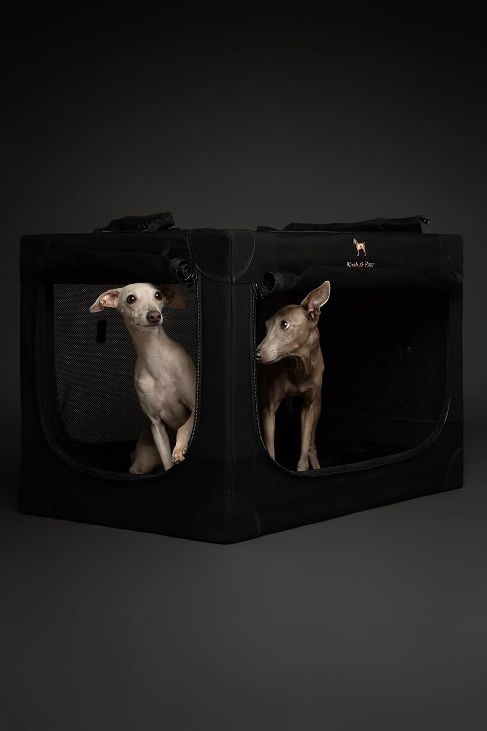 Travel Smart: Review of the Noah & Paw Collapsible Dog Crate for Large Breeds