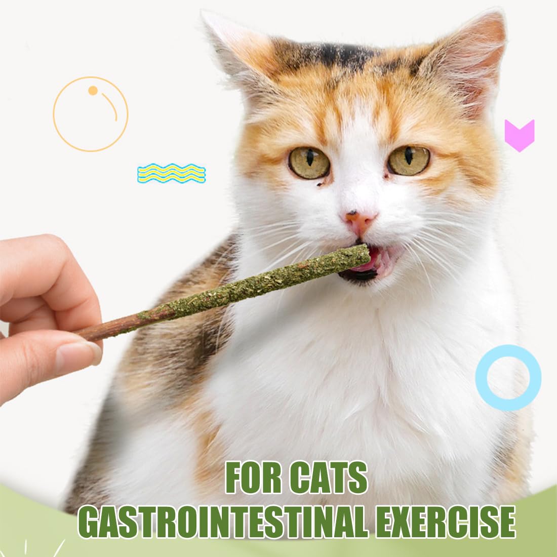 12 Pezzi Bastoncini di Erba Gatta Matatabi per Pulizia Dentale e Alito Fresco, Giocattolo Naturale Sicuro per Gatti