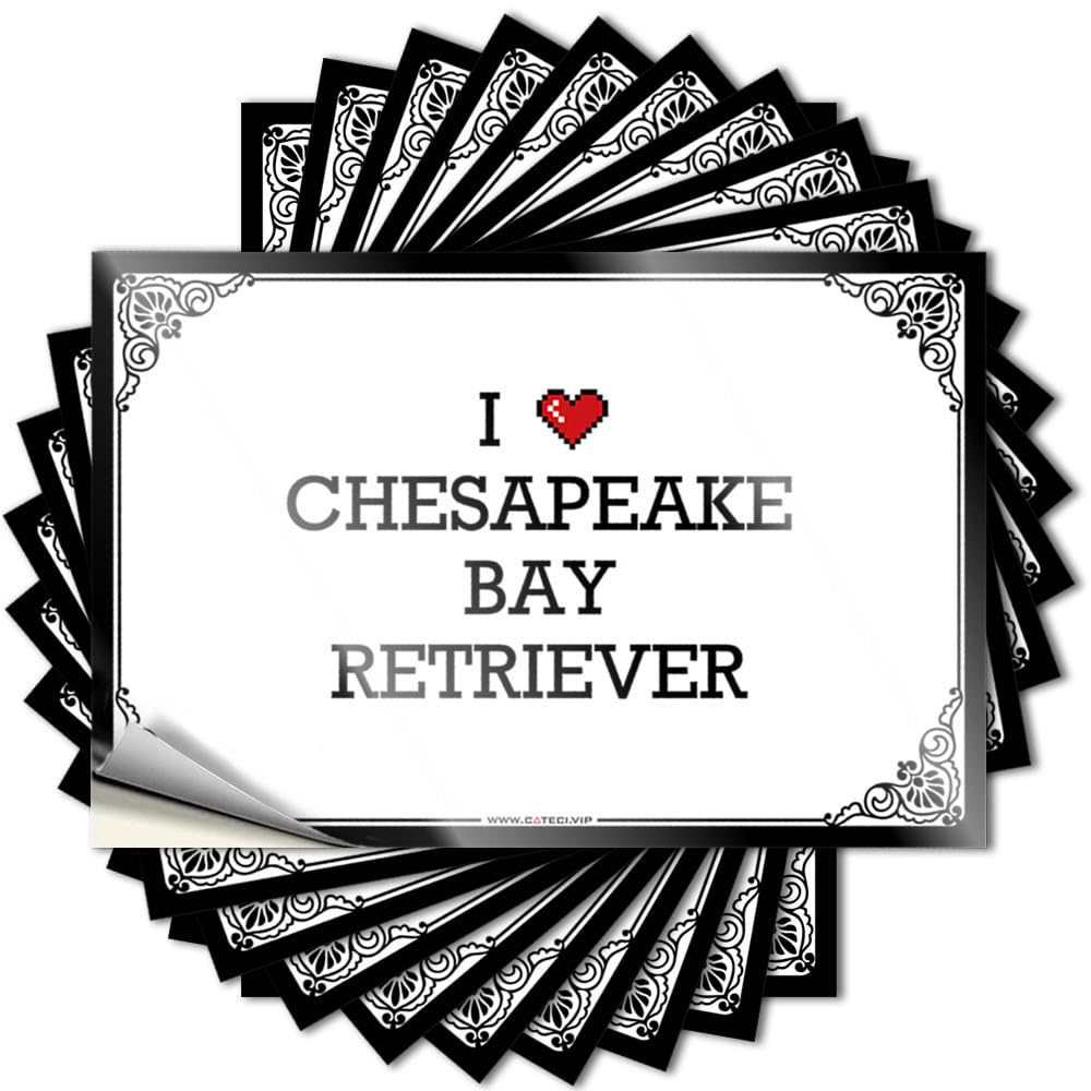 Bumper Stuff for Boys Room | Good Bumper I Love Chesapeake Bay Retriever for Items(12X18CM)