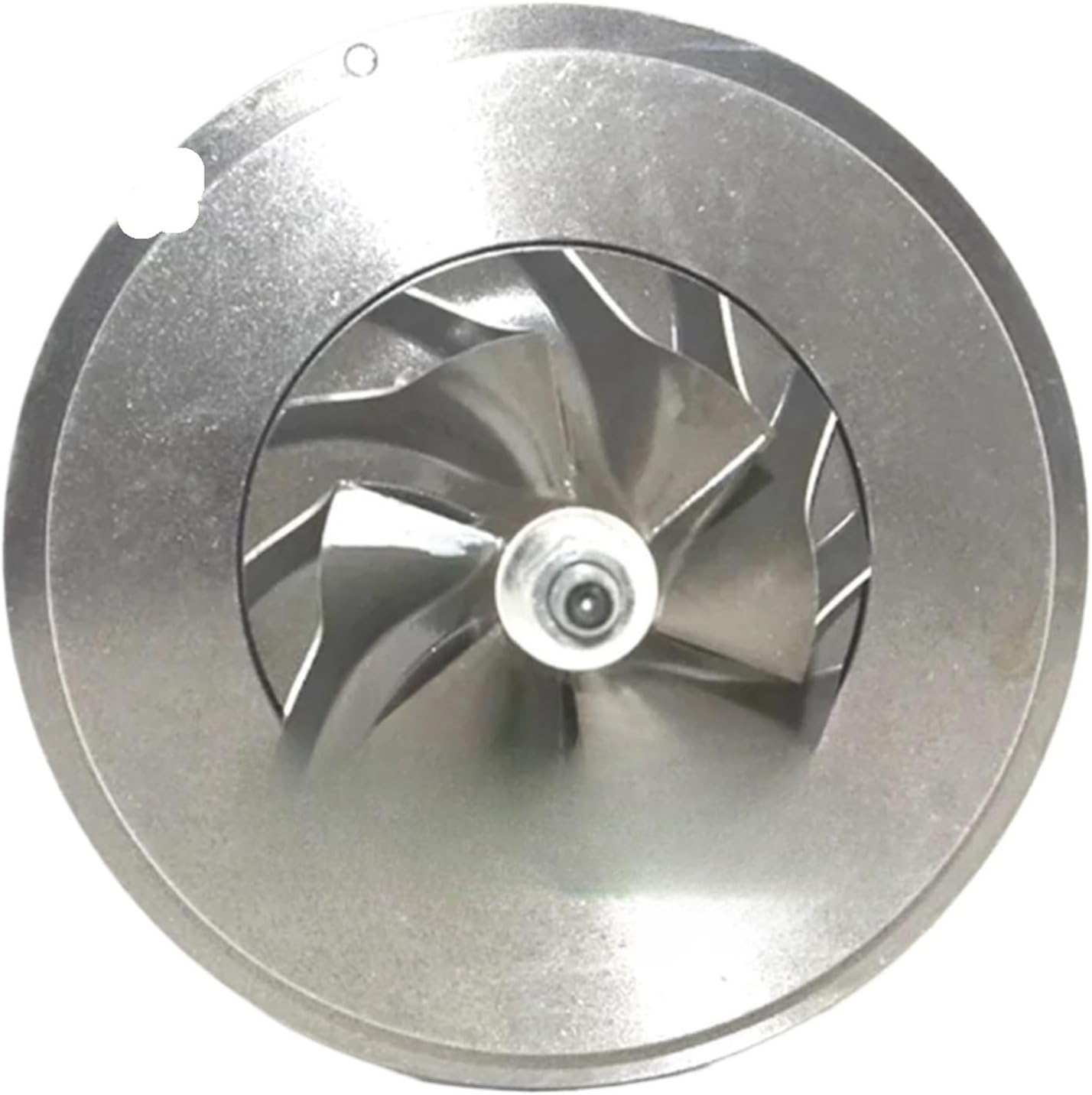 手賀沼風景を描く、日下賢二、50号油彩 ユリカモメ 人気作家 2025年