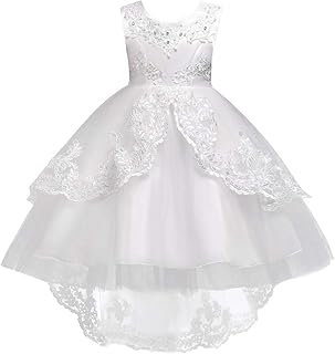 Flower Girls Vintage Overlay Lace Beaded Rhinestone Wedding Tulle Dress Hi Low Communion Party Dance Tutu Gown with Train - Buy now
