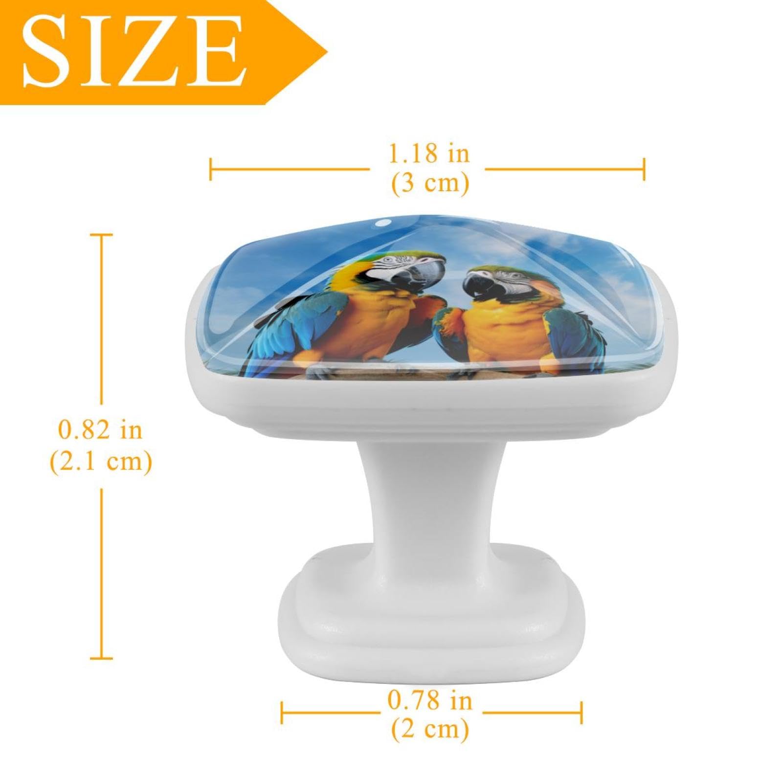 Pomos cuadrados para gabinete de cocina, pomos para cajones de tocador, 12 piezas, loros de pájaros de pradera azul, pomos de puerta de armario