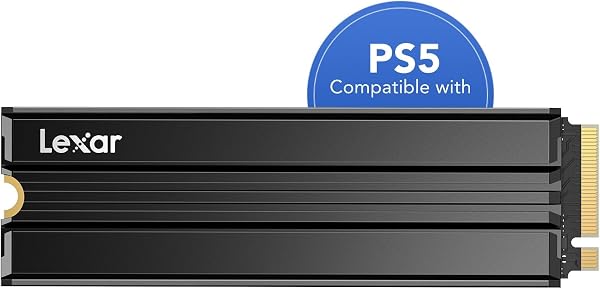 Lexar NM790 SSD Interno 2TB con Disipador de Calor
