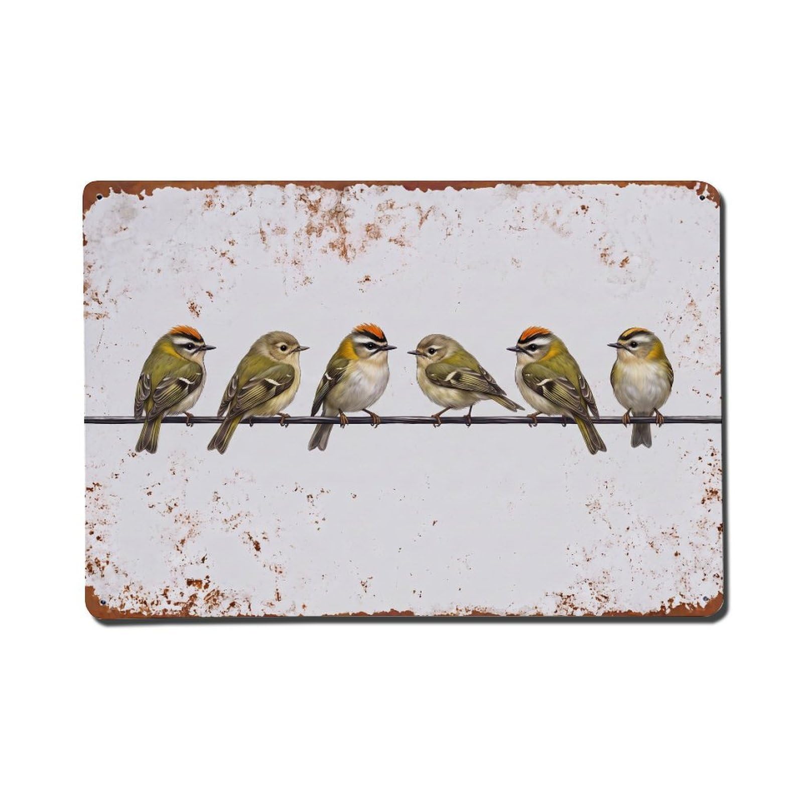 Vintage Retro Birds Firecrest Metal Tin Sign