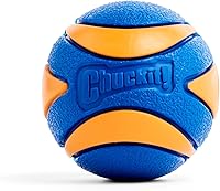 Vista 11 de CHUCKIT Pelota ultra chirriadora para perros pequeños, pequeña