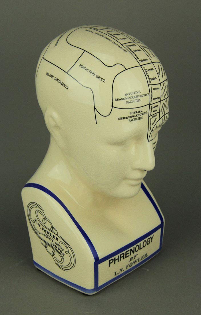 Amazon.co.jp: L.N. Fowler Phrenology Head Statue : ホーム＆キッチン