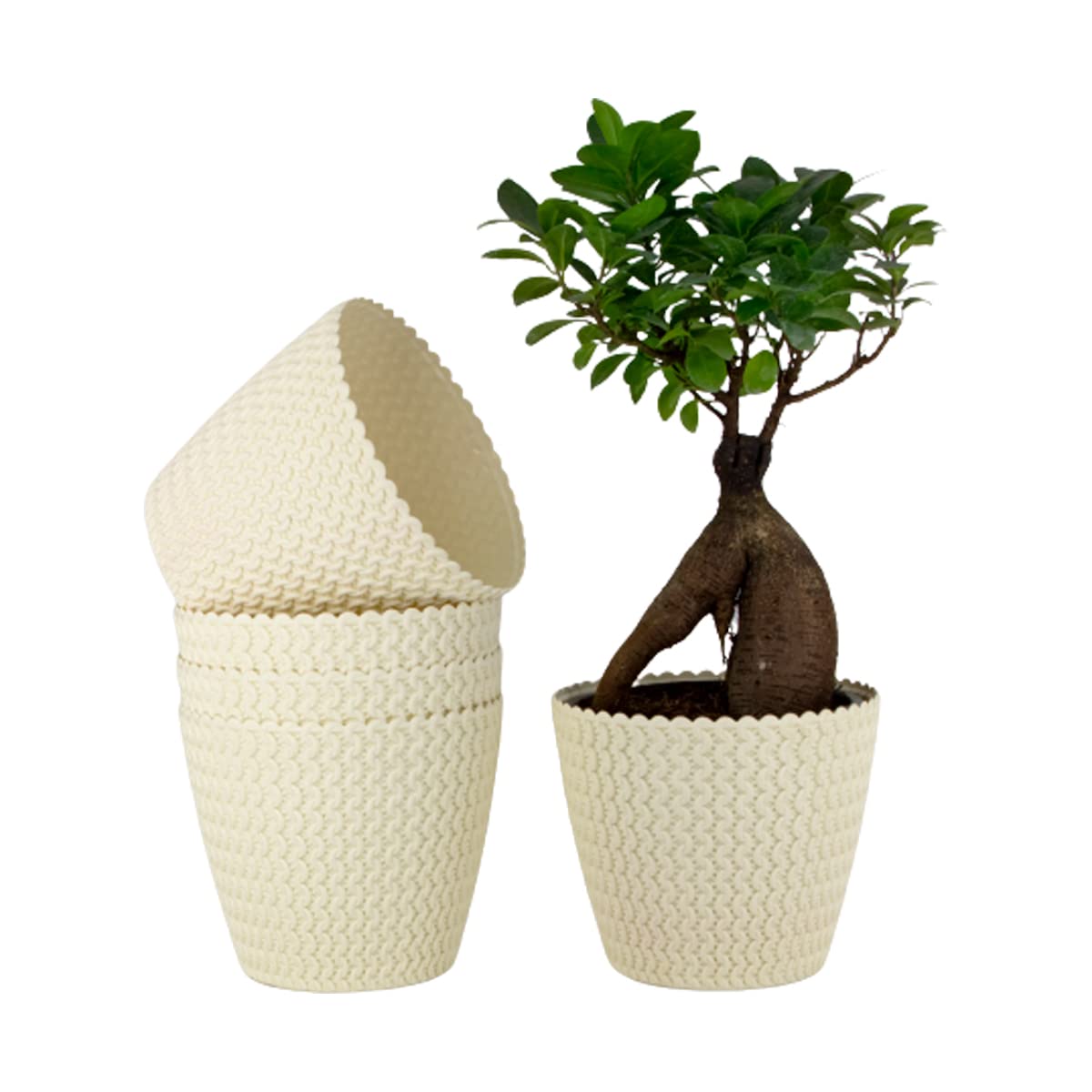 See full amazon price history chart for Gardens Designer Round Shape 07 Inch Poppy Flower Plastic Pot for Office, Home,Table Garden, Indoor or Outdoor Decor Best for Gift Too (Cream, 5) Gardens Designer Round Shape 07 Inch Poppy Flower Plastic Pot for Office, Home,Table Garden, Indoor or Outdoor Decor Best for Gift Too (Cream, 5) (B0BS64KXBD) Amazon Price History, Amazon Price Tracker