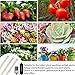 LED Grow Light Strips for Plants,Cholas 36W 132 LEDs Auto ON & Off Function,3/6/12H Timer 5 Dimmable Levels and 3 Switch Modes for Indoor Plants Gardening Greenhouse 3 Pack (Full Sepectrum Light) (L)