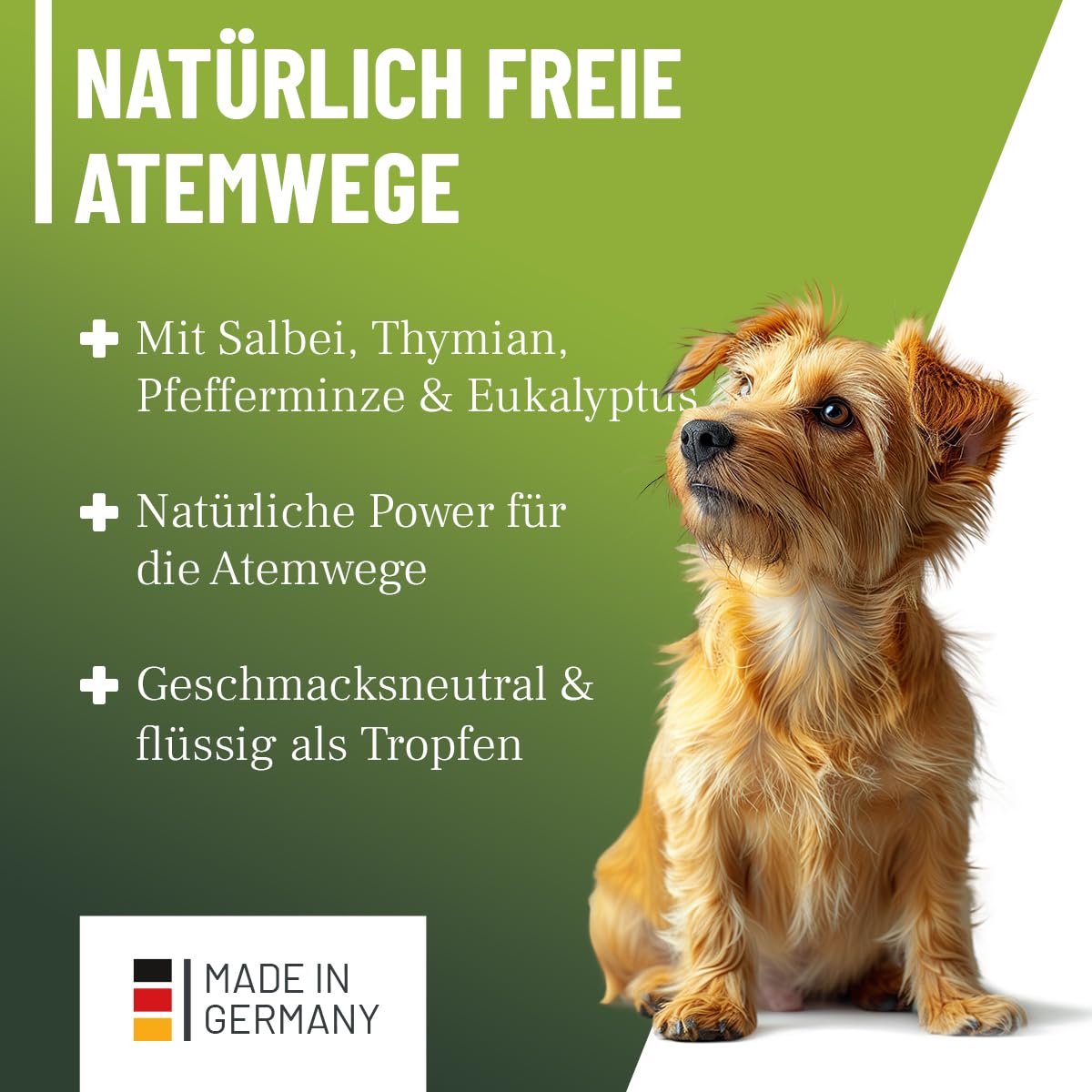 ReaVET Bronchial Liquid Tropfen für Hunde 100ml I Liquid zur Unterstützung der Atemwegsfunktion – für freie Atemwege