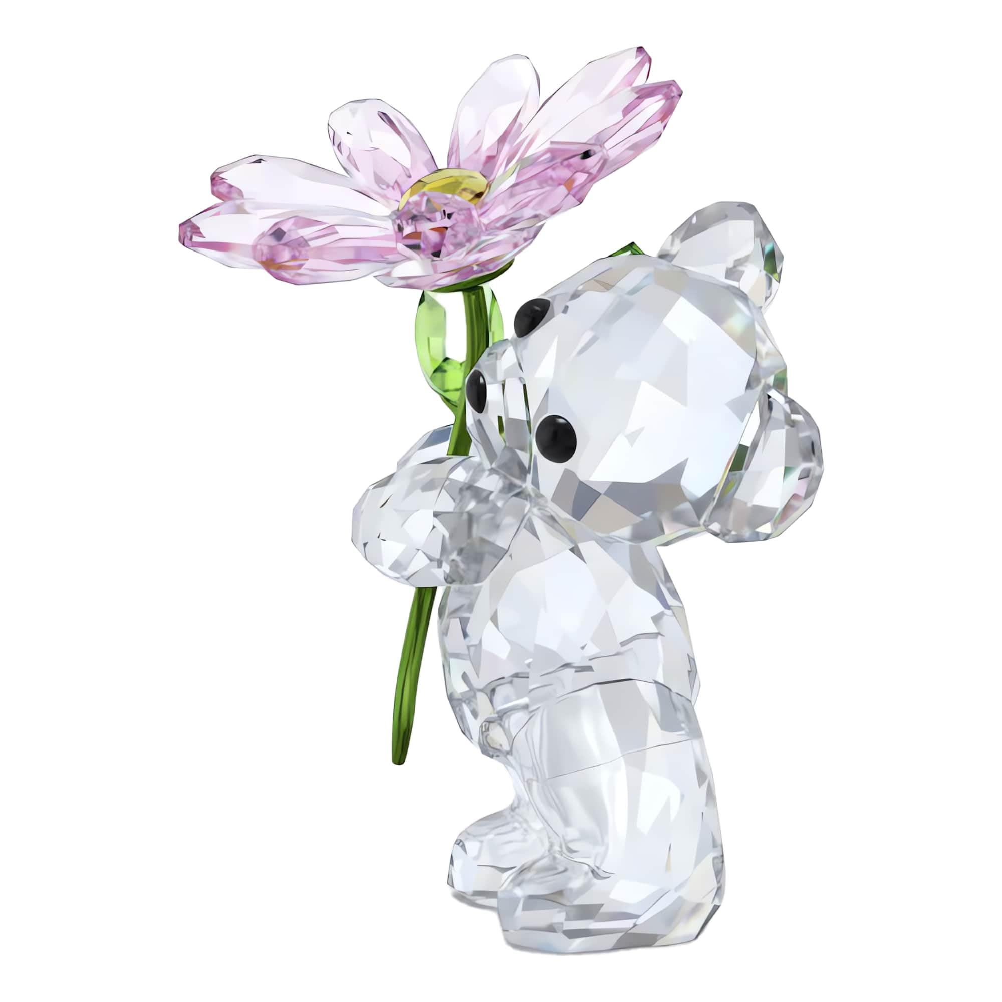 Swarovski Miś Kris Stokrotka dla Ciebie