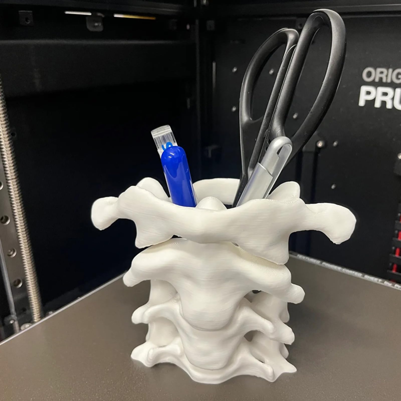 Portapenne a Colonna Vertebrale Stampato in 3D - Organizer da Scrivania per Penne - Regali per la Laurea in Medicina,Bianca,10cm