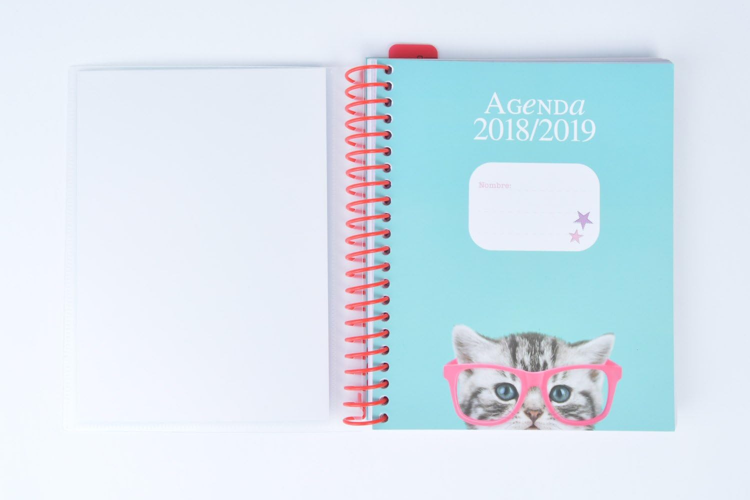 Grupo Erik editores Studio Pets – School Agenda with Spiral with Cat Design, 15.5 x 19 cm