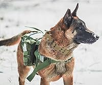 Vista 7 de Collar táctico para perro con asa, collar de entrenamiento militar ajustable para perros, nailon suave y hebilla de metal resistente para perros
