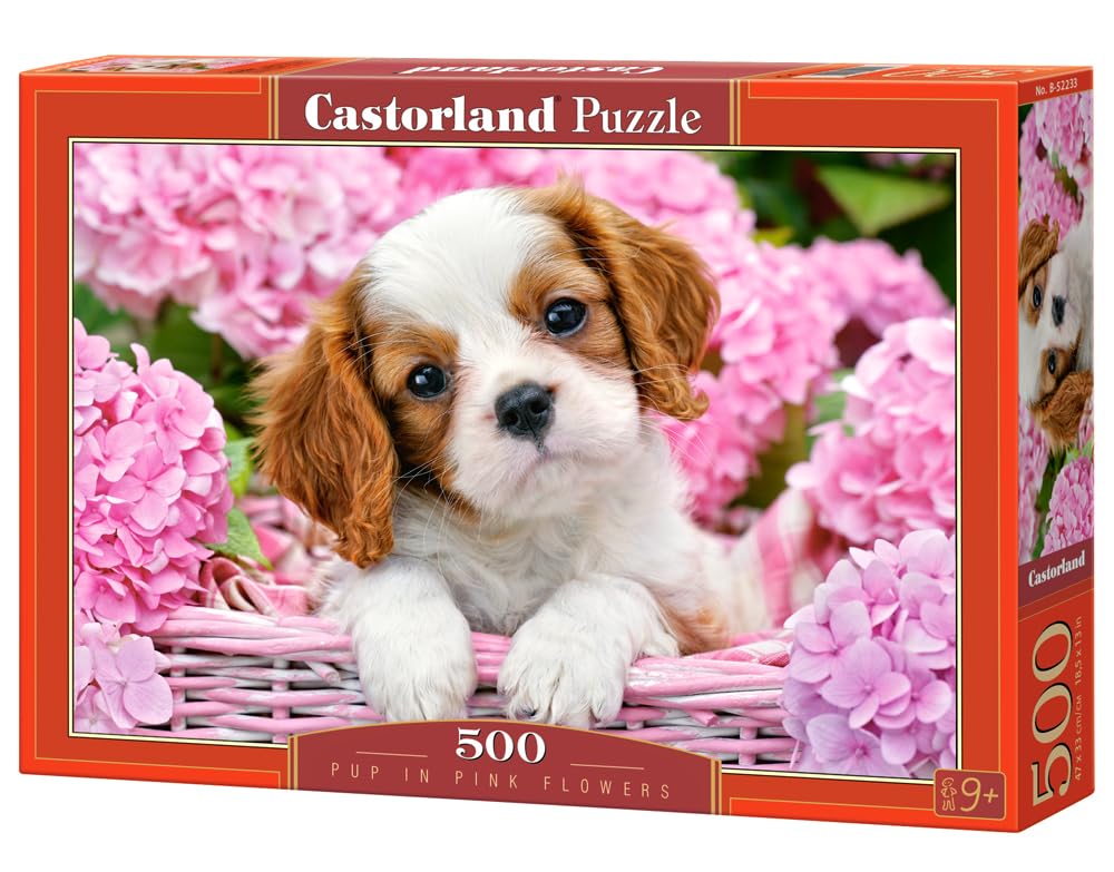 Castorland C-400263-2 - Puzzle 4000 "Summer Flowers and Cup of Tea", multicolore