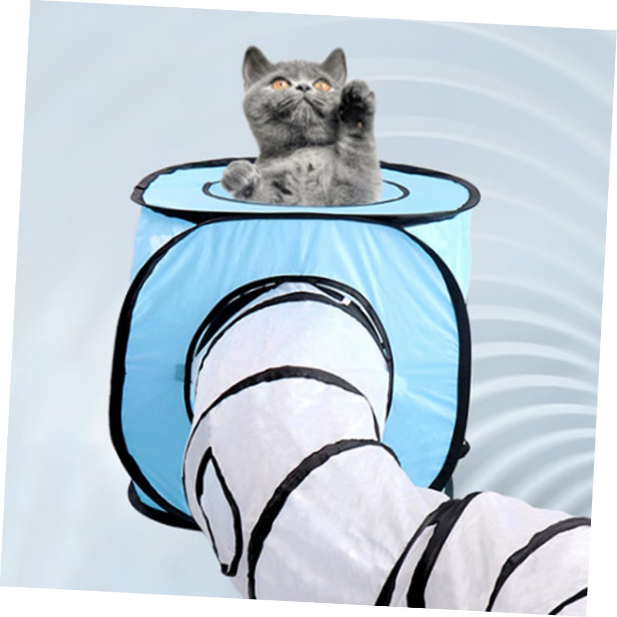 HEMOTON Tunnel S pour Chat Pliable Jouet Interactif Chatons Bleu Tunnel Chat Jouet