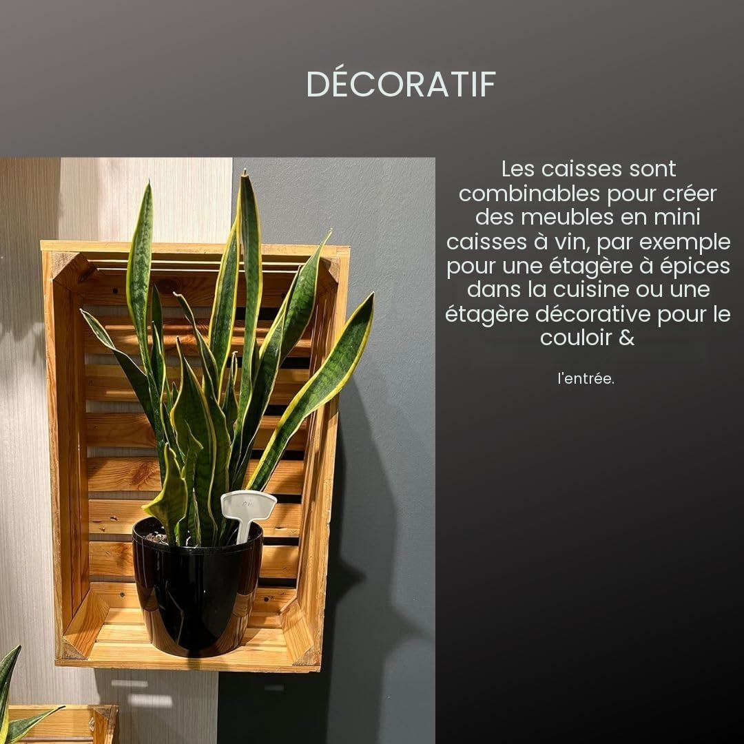 Grandes caisses en bois 50x40x30 cm – Lot de 3 boîtes naturelles – Caisse à vin, fruits et légumes – Boîte de rangement en bois vintage pour déco, cuisine, jardin ou étagère