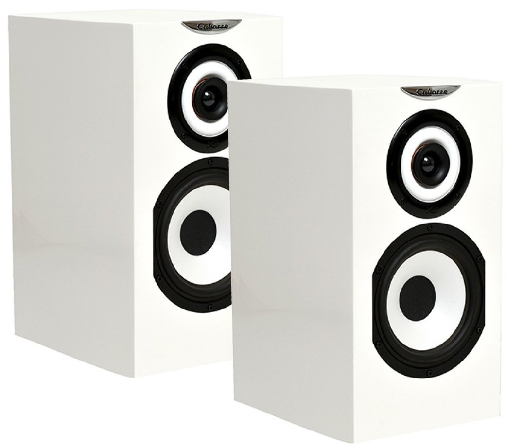 Amazon.co.jp: Cabasse Minorca mc40 6.5 