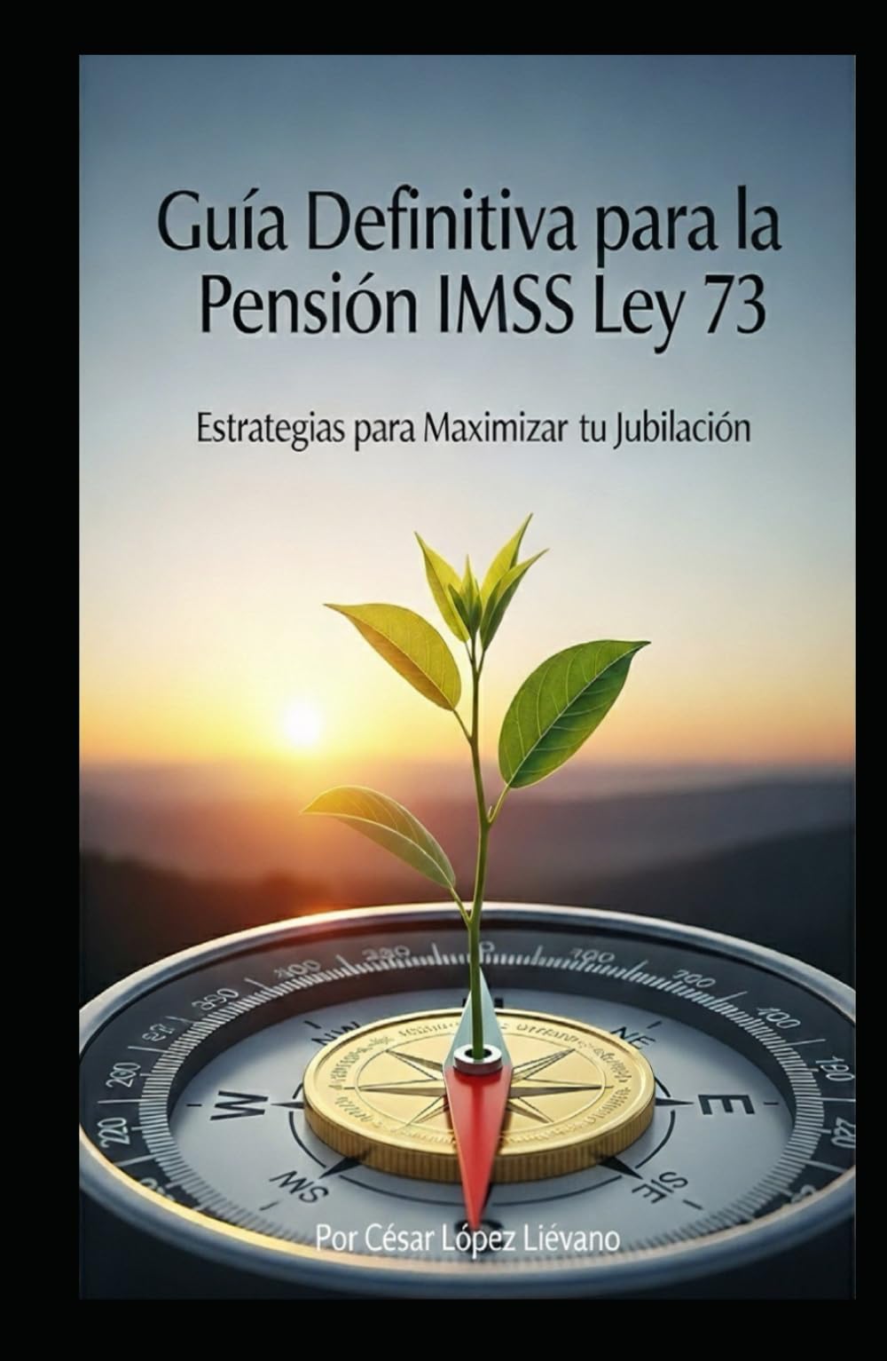 Guía Definitiva para la Pensión IMSS Ley 73: Estrategias para Maximizar tu Jubilación
