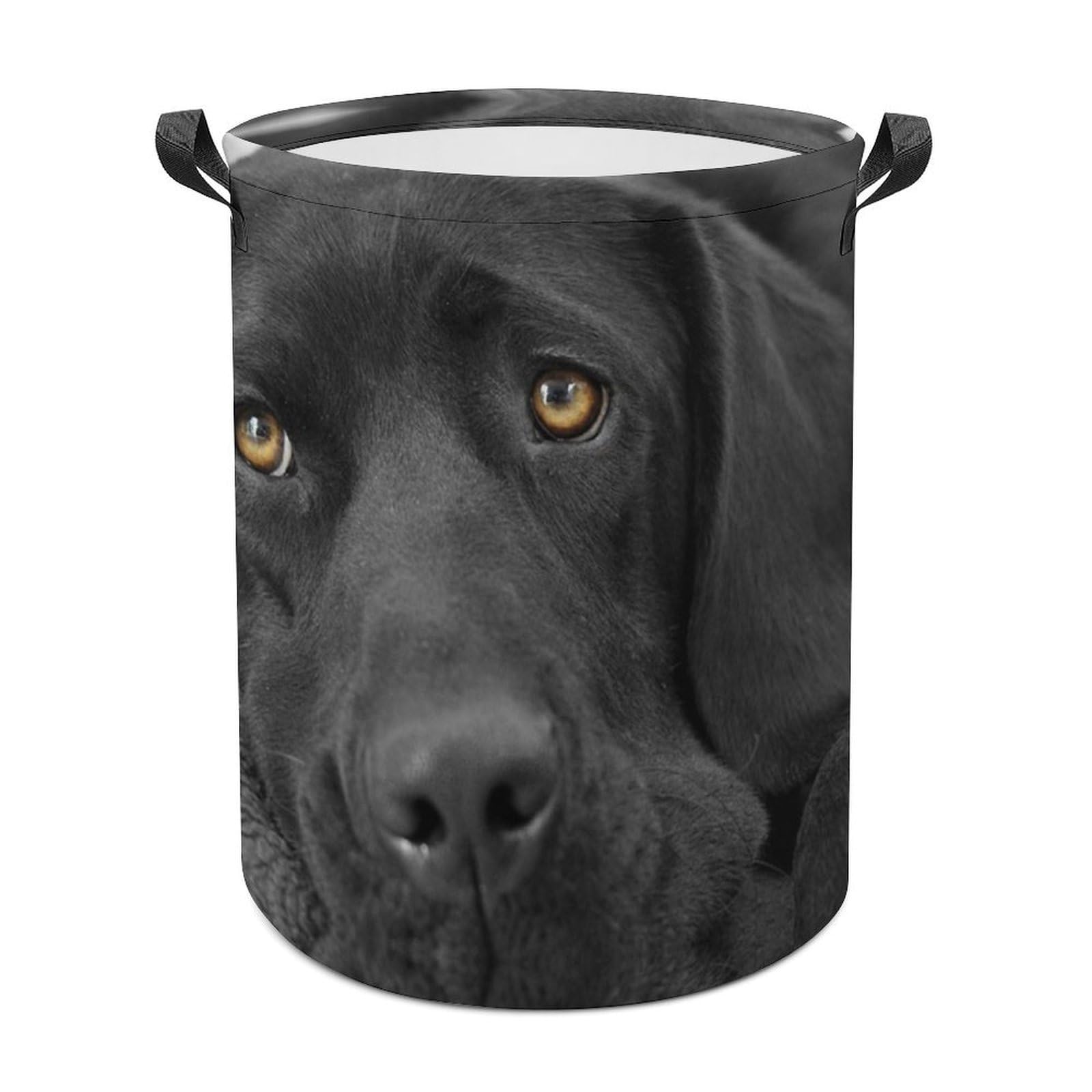 MHYRAC Laundry Hamper, Black Labrador Dog Laundry Basket, Washing Basket with Handle