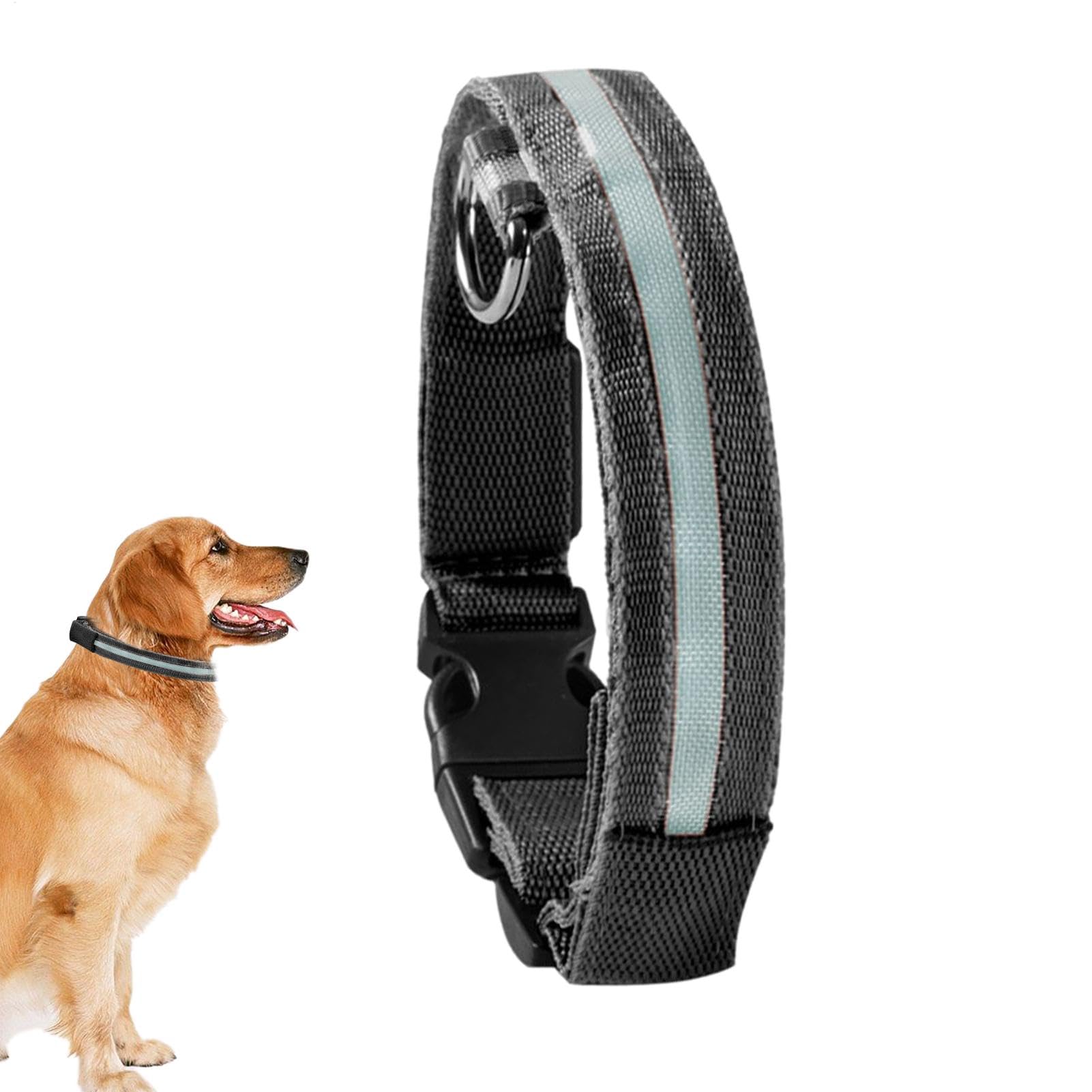 LED | Collare luminoso lampeggiante per cani, collari regolabili che | brillano al buio per cuccioli, cani di taglia media e piccola.
