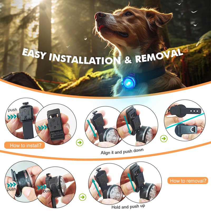 UMIONE LED-Hundehalsband Regenbogenlicht & Reflektierend – Wasserdichtes Sicherheitshalsband mit Silikonband für Hunde – Nachtsichtbarkeit, Langlebig & Sichtbar bei Dunkelheit