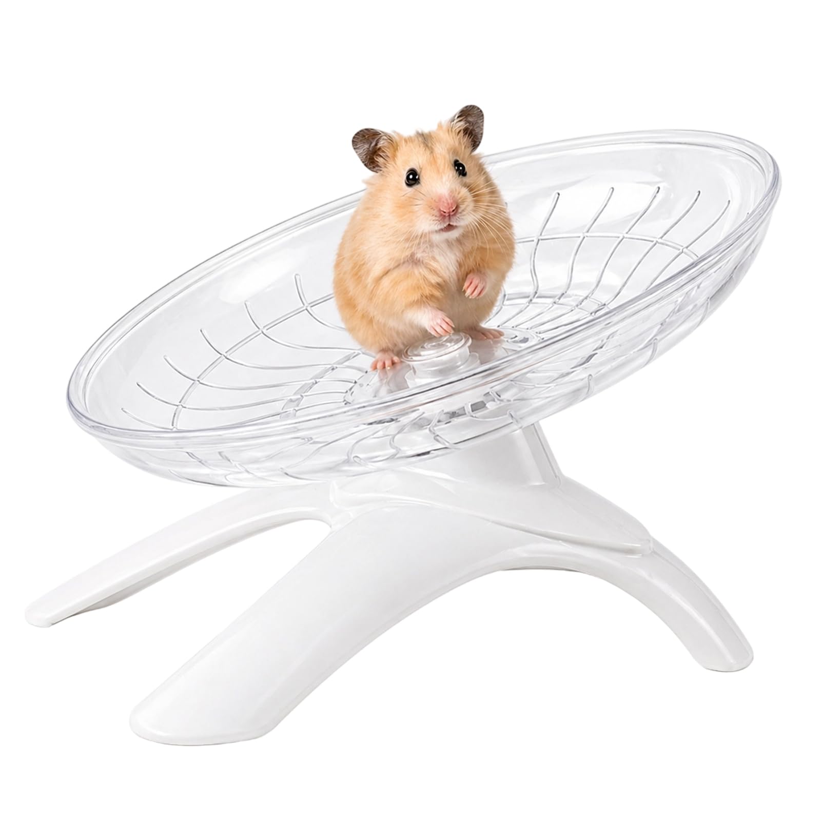 Hamster Wheel, Large Silent Exercise Wheel for Syrian Hamsters, Durable Hamster Toys and Accessories, Transparent White Design with 13 cm Diameter