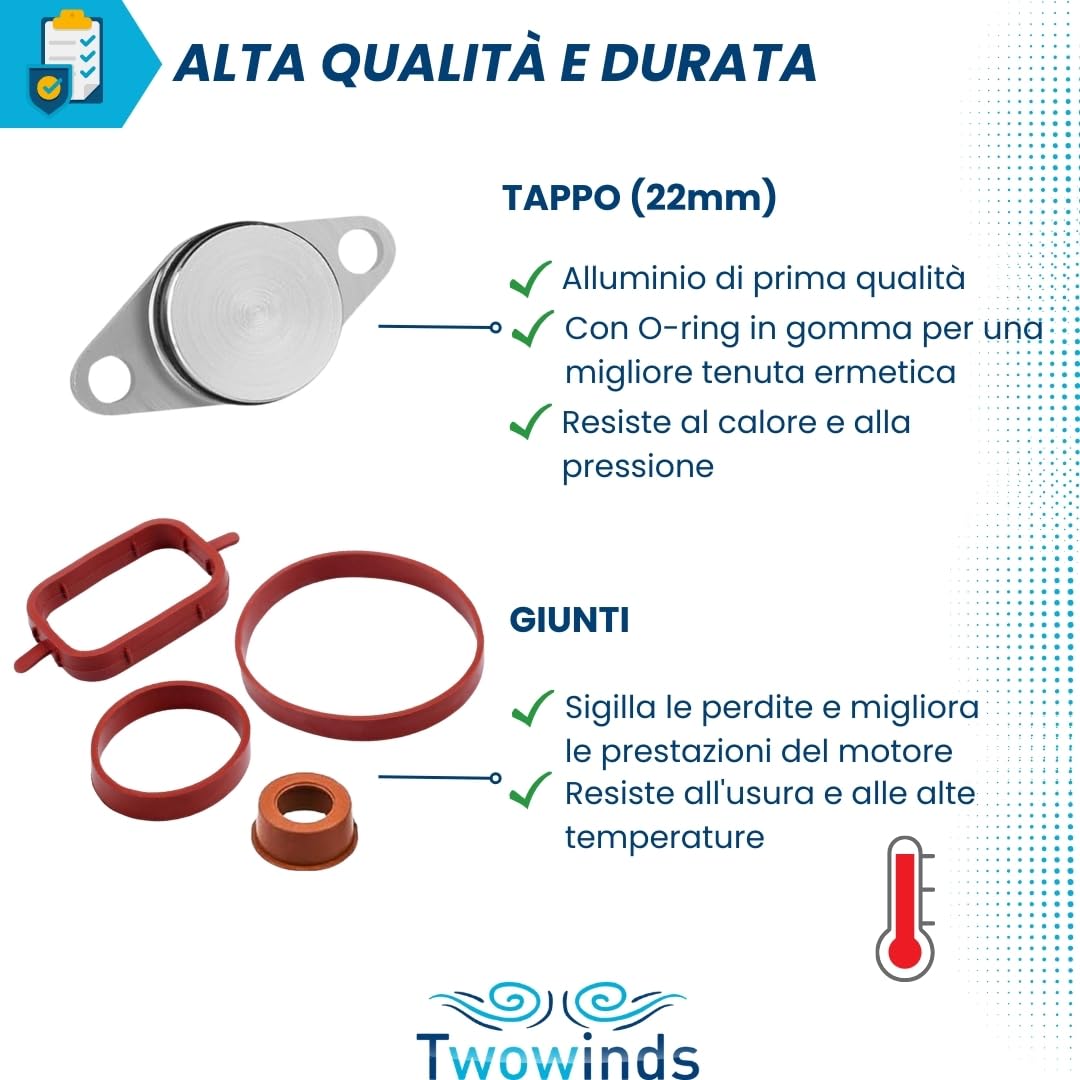 Twowinds - Kit Annullare Farfalle Collettore di Aspirazione (22 mm) Compatibile con BMW E90 E46 E39 E60 E61 E65 X3 X5 - Rimozione Swirl Flap - Eliminazione Valvole Swirl (14 guarnizioni e 4 tappi)