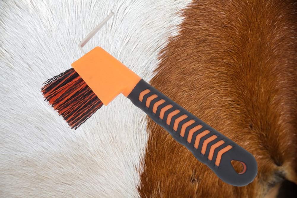 2PCS Horse Hoof Pick Brush with Soft Touch Rubber Handle,Portable Hoofpick(Random Colors) : Pet Supplies