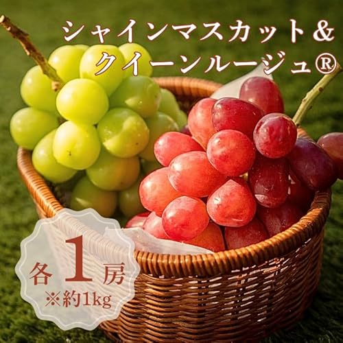[先行受付] シャインマスカット&クイーンルージュ® 各1房(約1kg)※2025年9月上旬〜9月下旬発送予定※ 果物 フルーツ ぶどう 葡萄