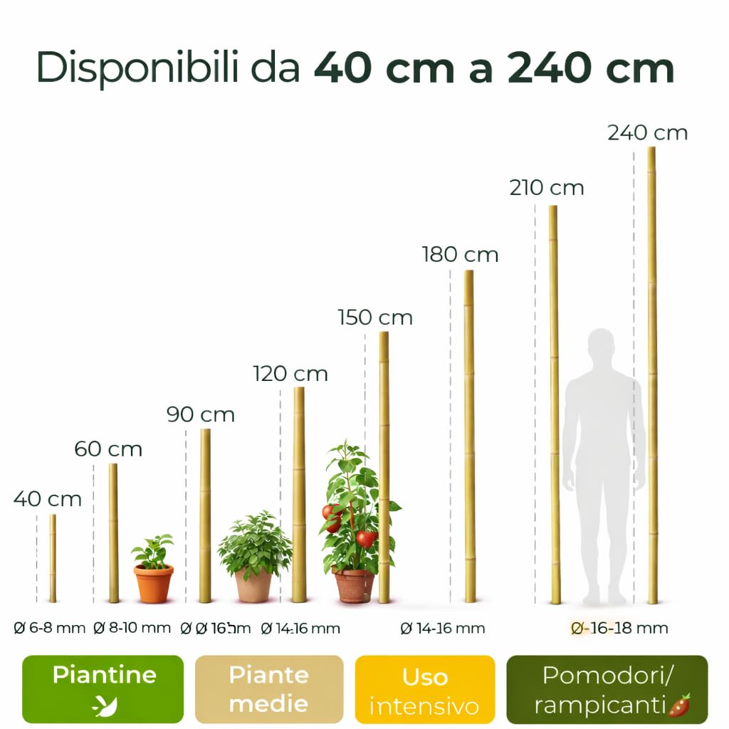 Tutori in Bambù Naturale – Pali per Pomodori, Sostegni per Piante da Interno ed Esterno – Bastoni per Orto e Giardinaggio – Lunghezze da 40 a 240 cm (10, 180, Centimetri)