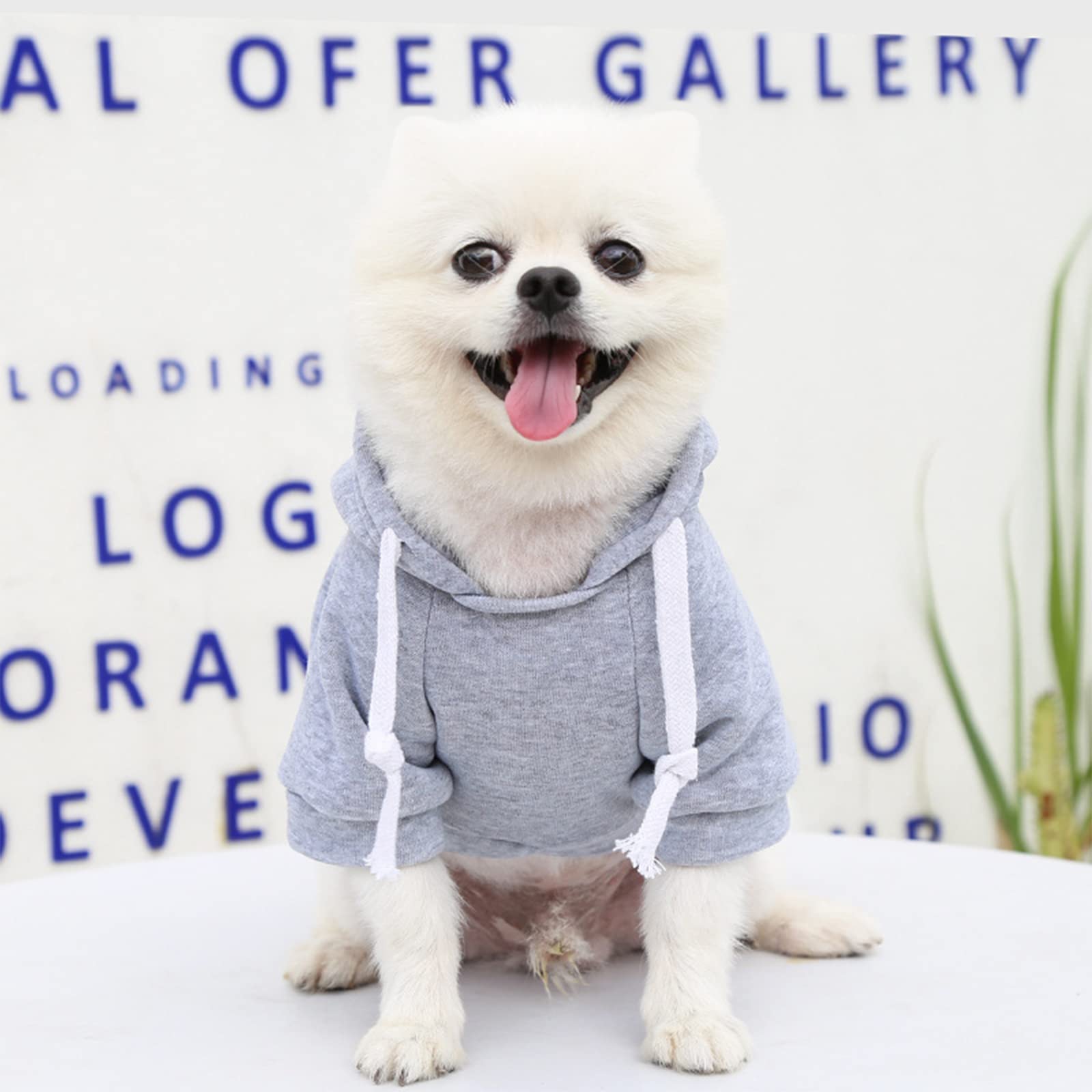 PETCARE Dog Hoodies Pet Small Dog Sweater Grey Warm Soft Fleece Sweatshirts with Pocket Winter Puppy Cat Sweaters Hooded Clothes for Small Dogs Chihuahua Outfits Yorkies French Bulldog Costume