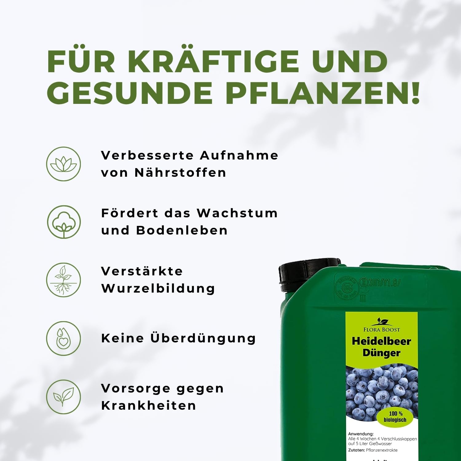 Flora Boost Heidelbeer Dnger Flora Boost 5000ml I Fr bis zu 1000L  Giewasser I Obst- & Beerendnger fr Heidelbeeren I Flssiger Blatt- &  Wurzeldnger I 100% natrlicher Pflanzendnger : Amazon.de: Garten