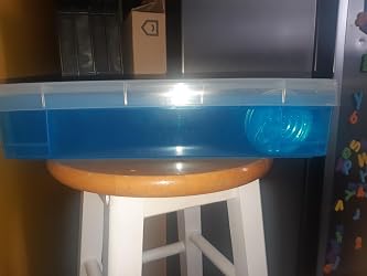 ubuy Nicaragua