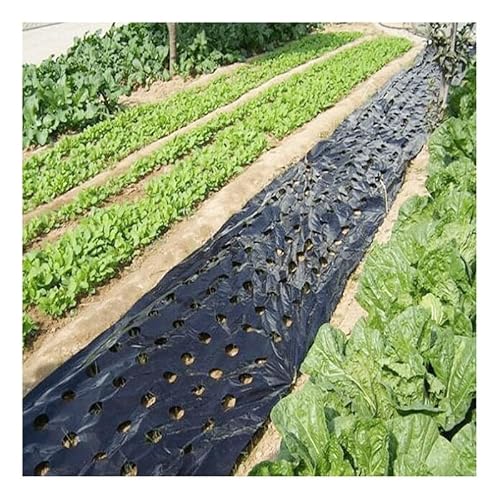 EVANEM 50m 5Holes Keep Warm Perforated PE Film Black Plastic Mulch Film, For Agricultural Vegetable Plants Grow Film Greenhouse Plant Covers