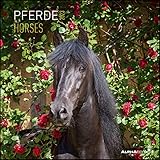 Pferde 2023 - Broschürenkalender 30x30 cm (30x60 geöffnet) - Kalender mit Platz für Notizen - Horses - Bildkalender - Wandplaner - Pferdekalender