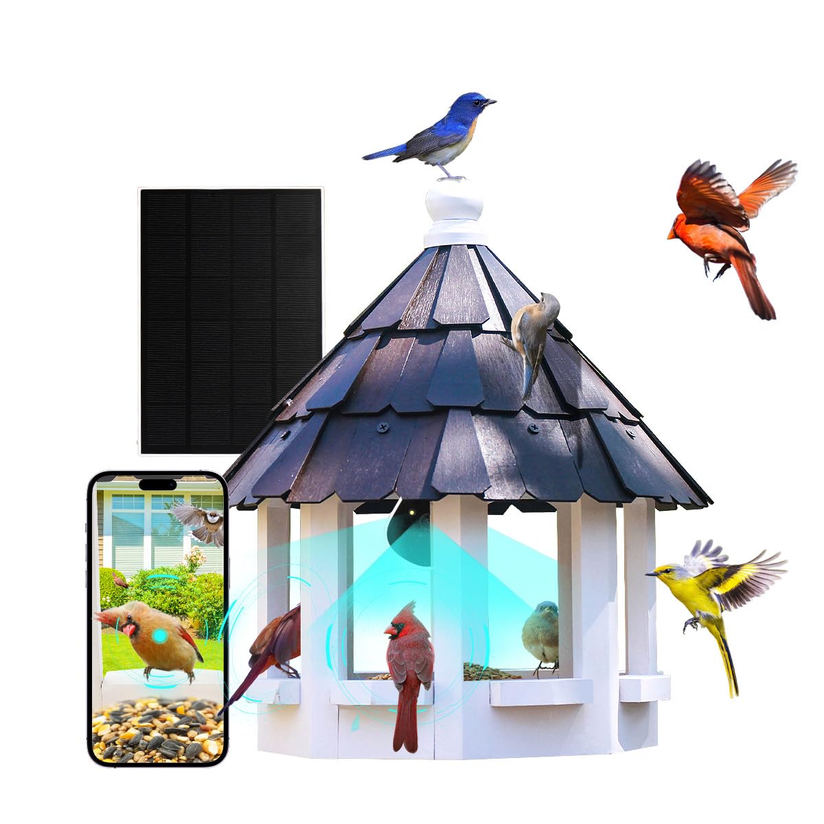 Grand Gazebo Bird Feeder with Camera Solar Engine, Going Green Bamboo Shingles, Solid Cedar Wood, Outdoor Garden Decorative Creation,Bird Feeder for Post Pole
