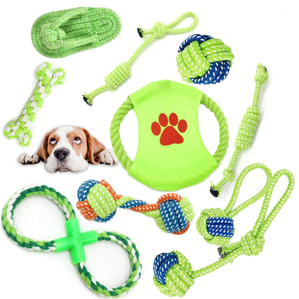 dog toys dental health