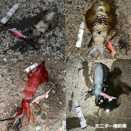 KAIRI フィッシュフォーミュラー イカ用集魚剤