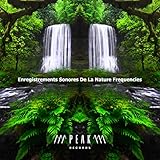 Jungle Sound Productions