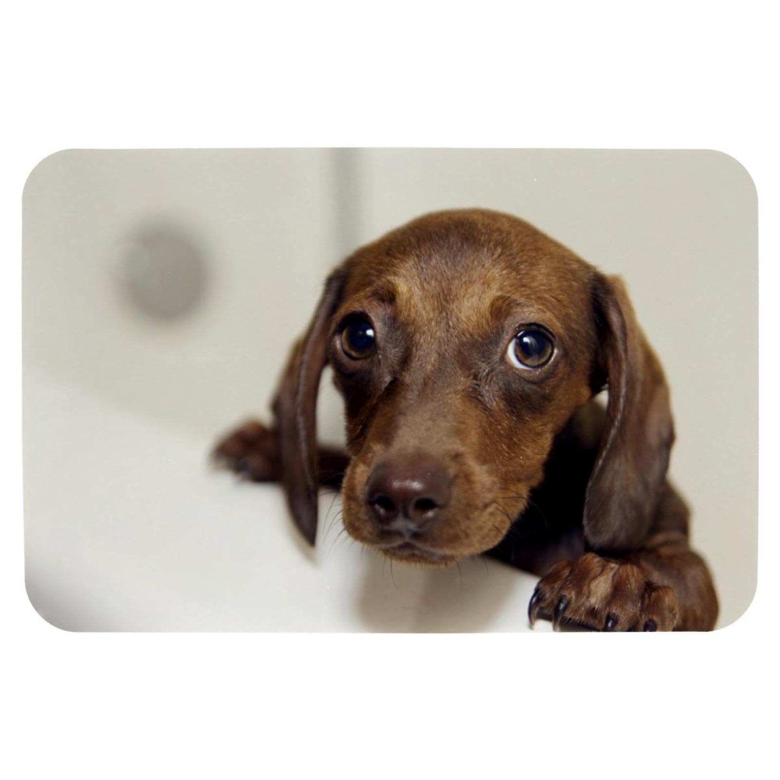 Tapis de bain absorbant et antidérapant séchage rapide